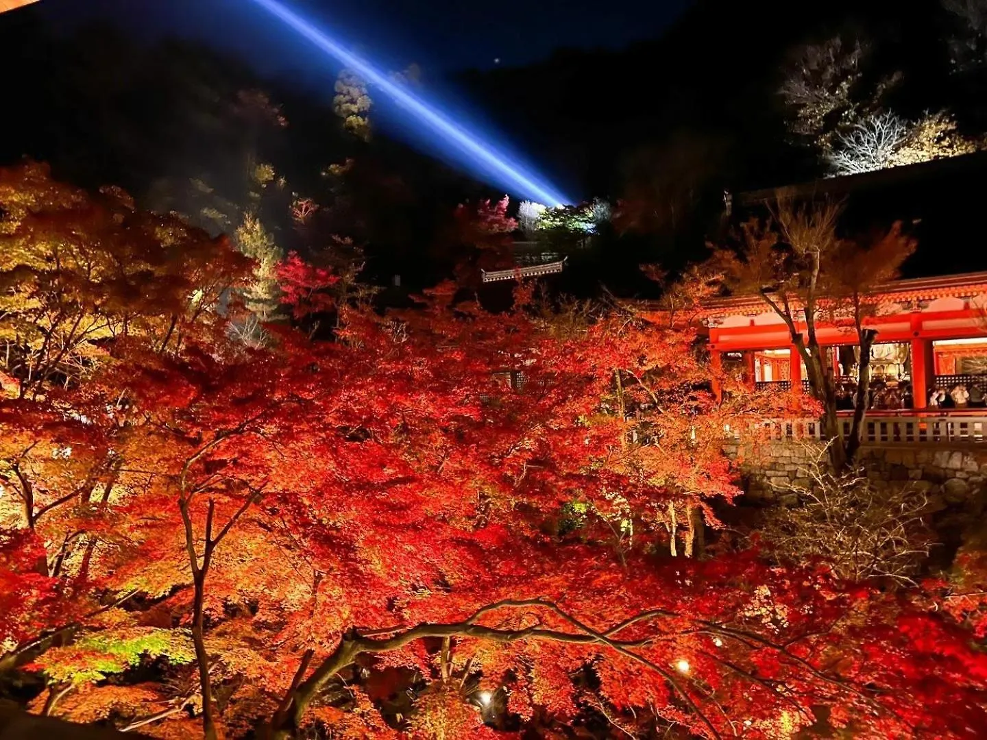 Rinn Yasaka Kodaiji Kyoto Japan